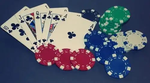 255bet