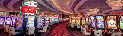 255bet